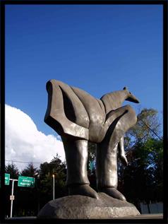 Lomas De Chapultepec Homes for Sale